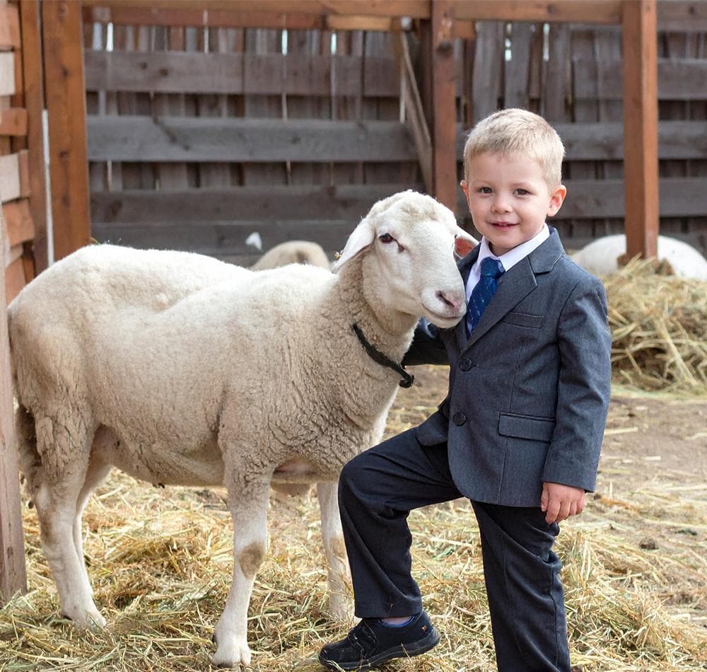 Balkan genclerine egitim destegi